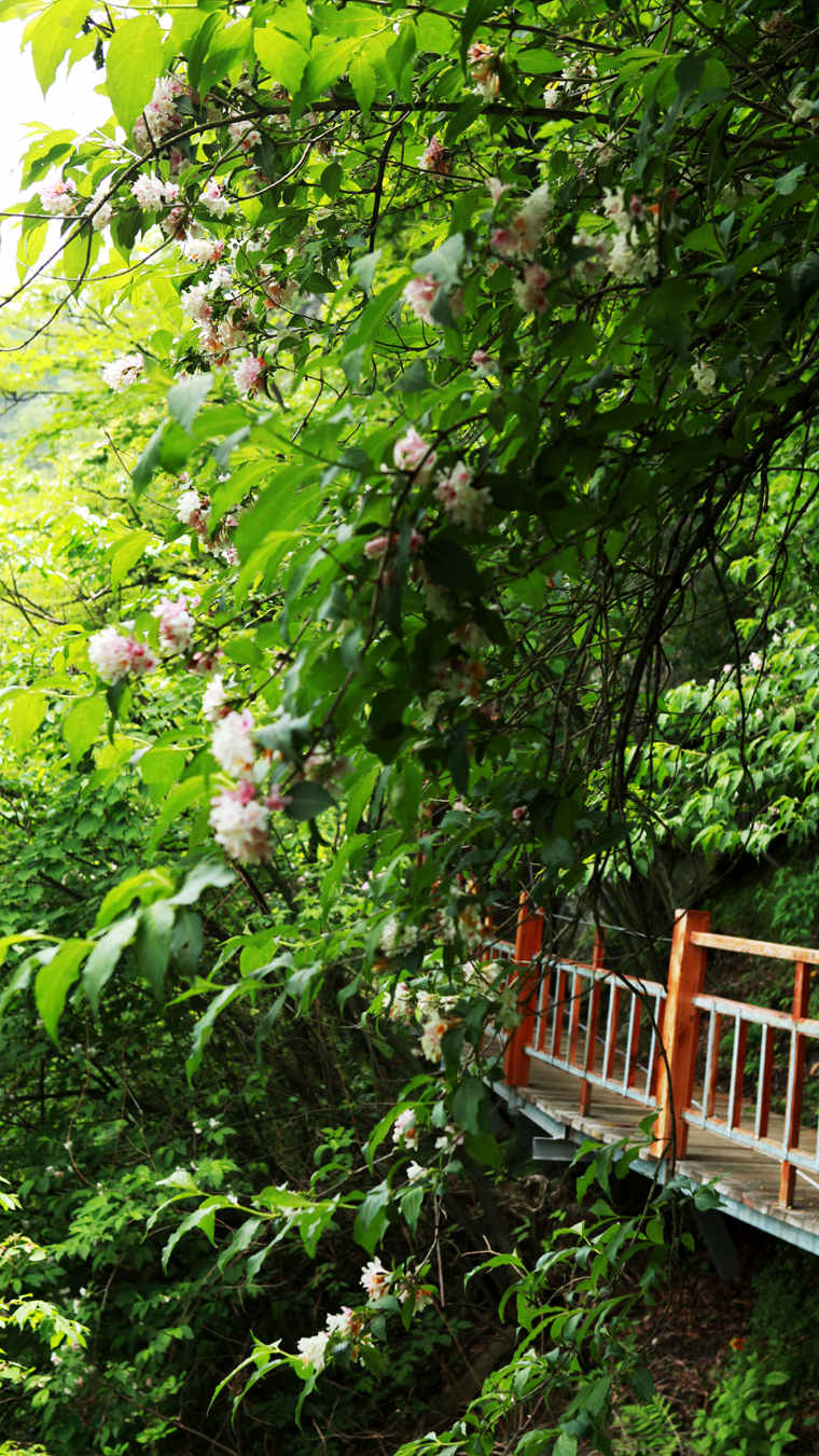 img_6181_副本.jpg
