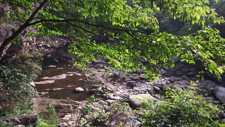 20150509_163612_.jpg