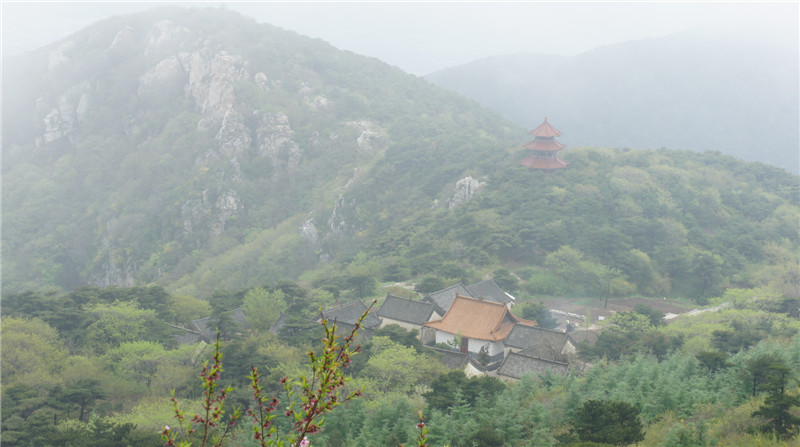 dsc08293.jpg