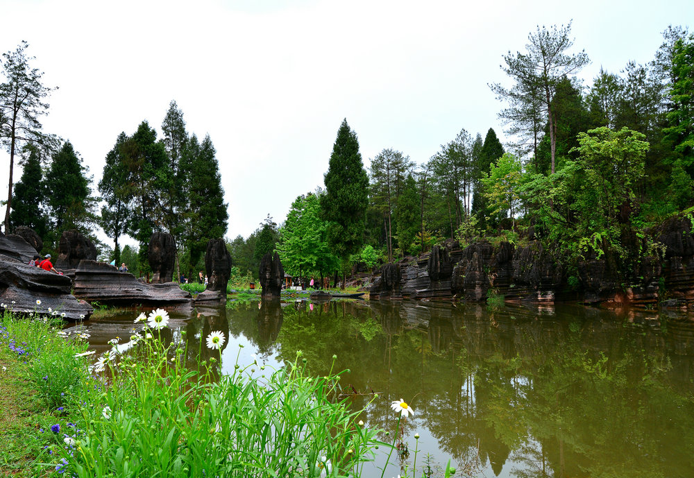 dsc_7904y.jpg