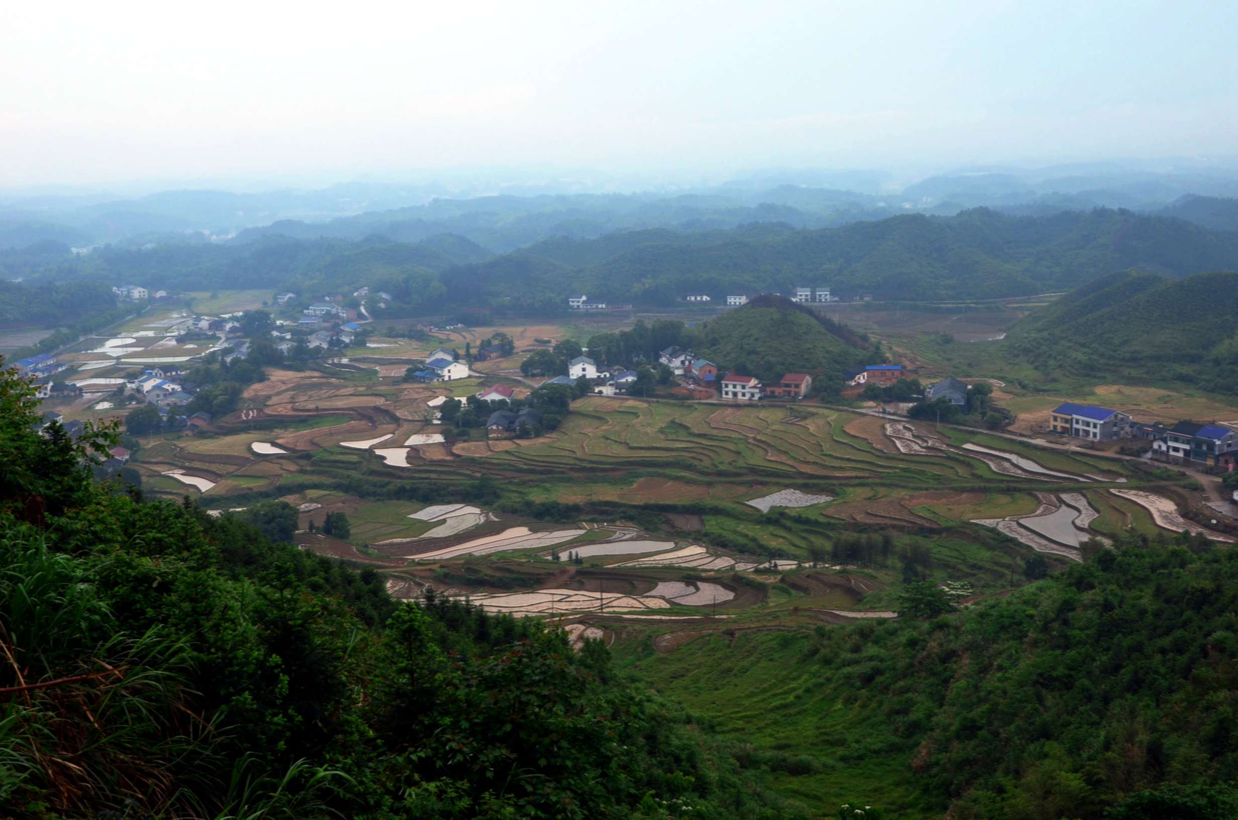 dsc_0745a.jpg