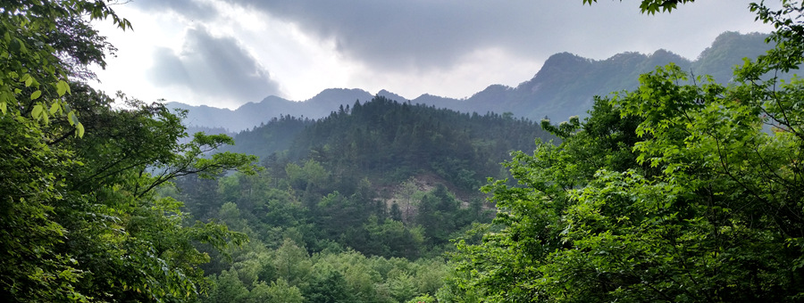 20150509_163220_.jpg
