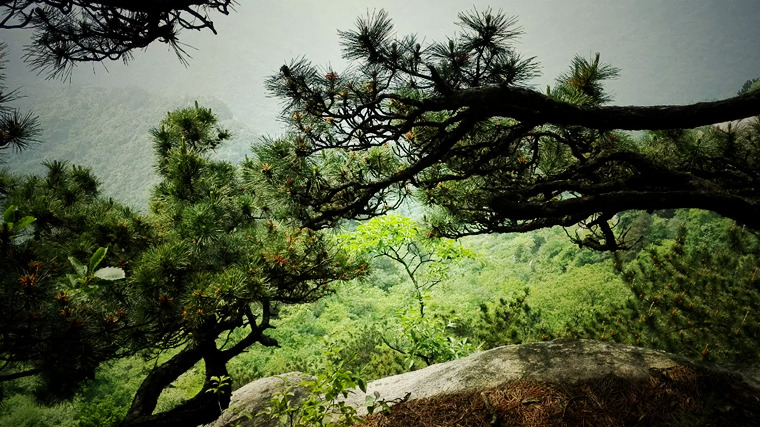 psb (3)_副本.jpg