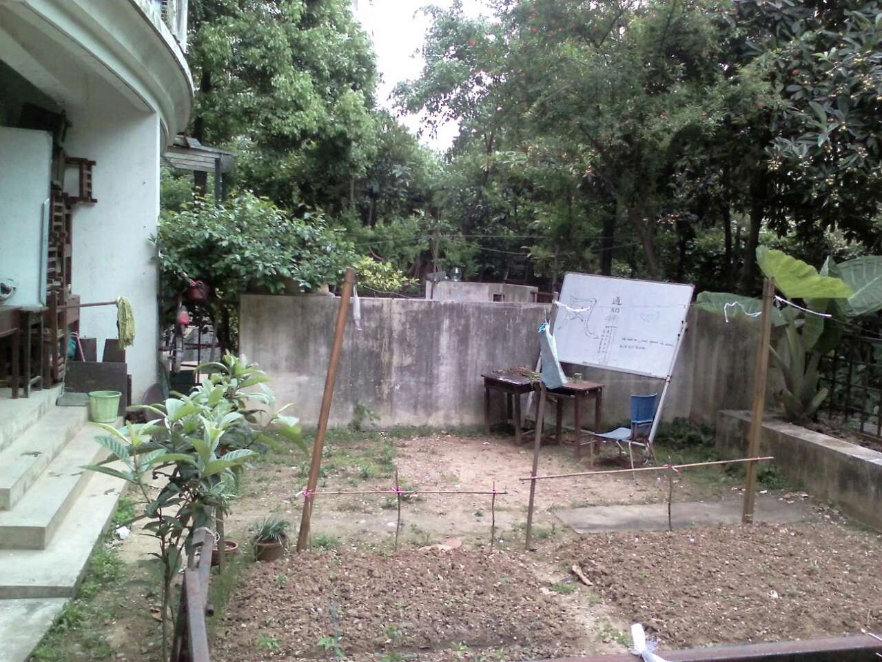 买一楼送的花园.jpg