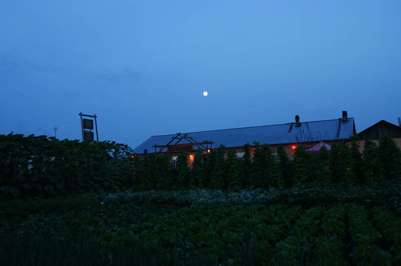 dsc04487.jpg