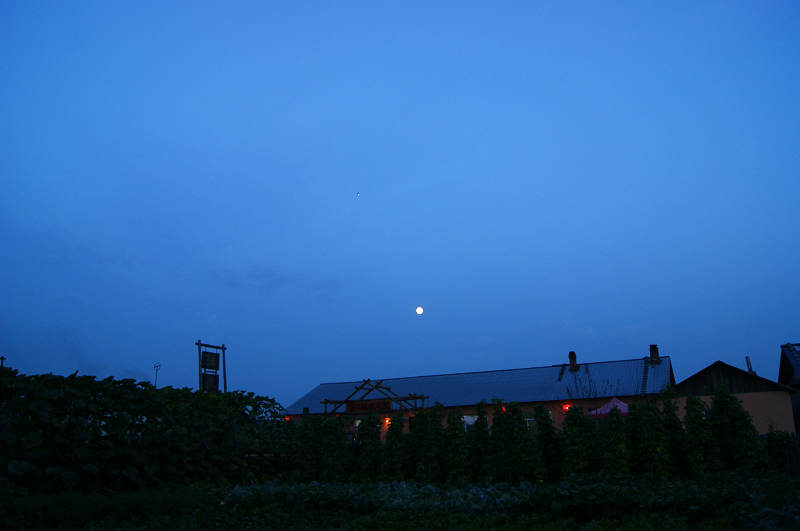 dsc04488.jpg
