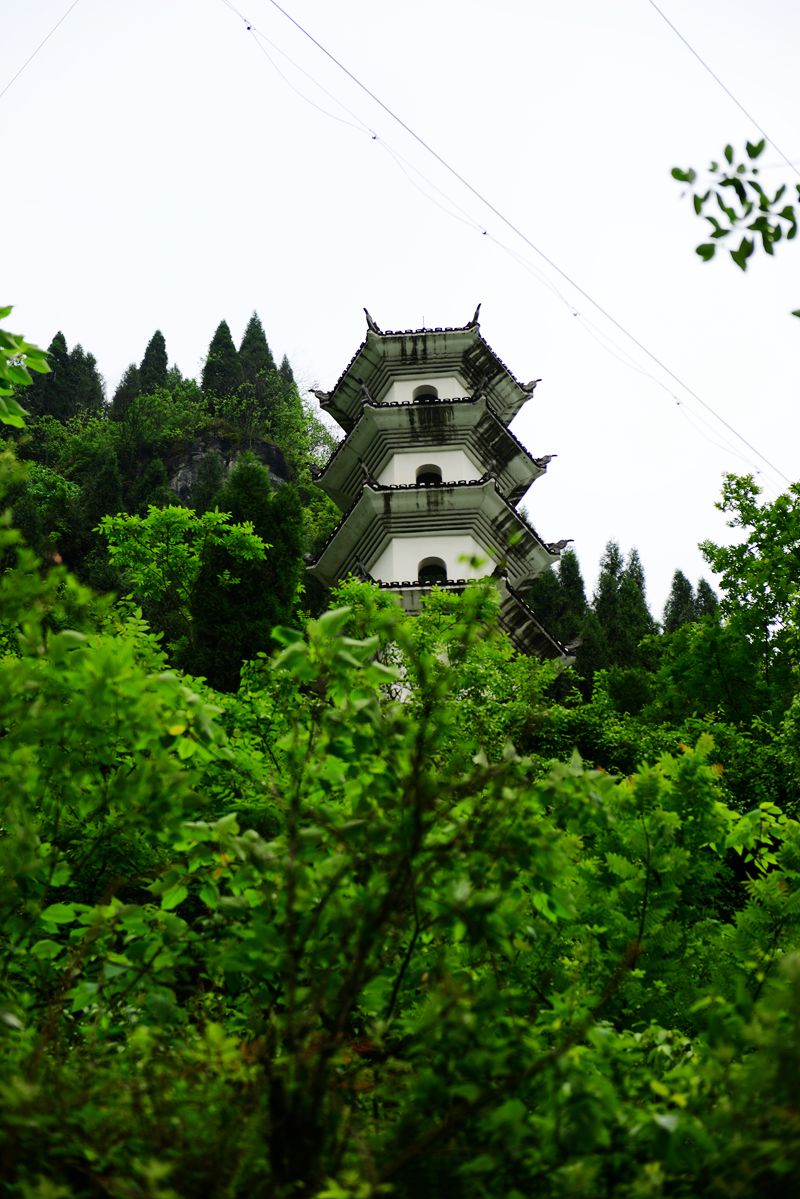 20150506 135_.jpg