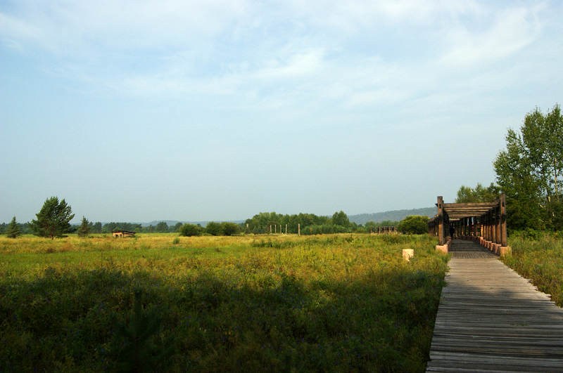 dsc04550.jpg