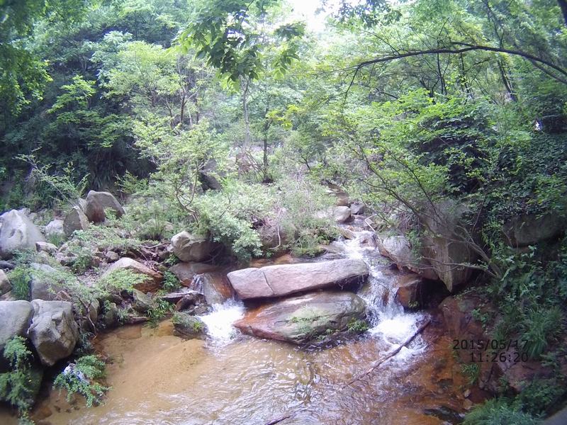 file0023.jpg