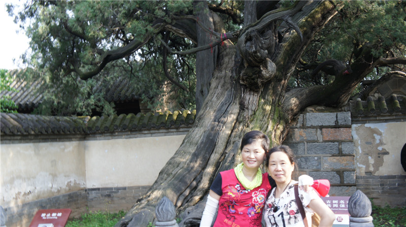 dsc08392.jpg