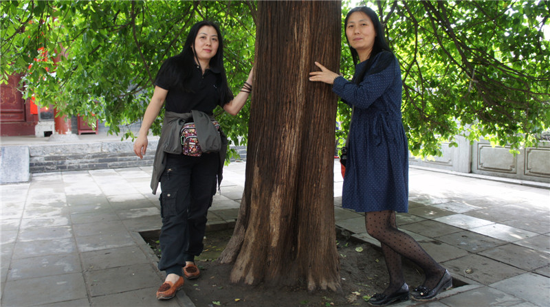 dsc08452.jpg