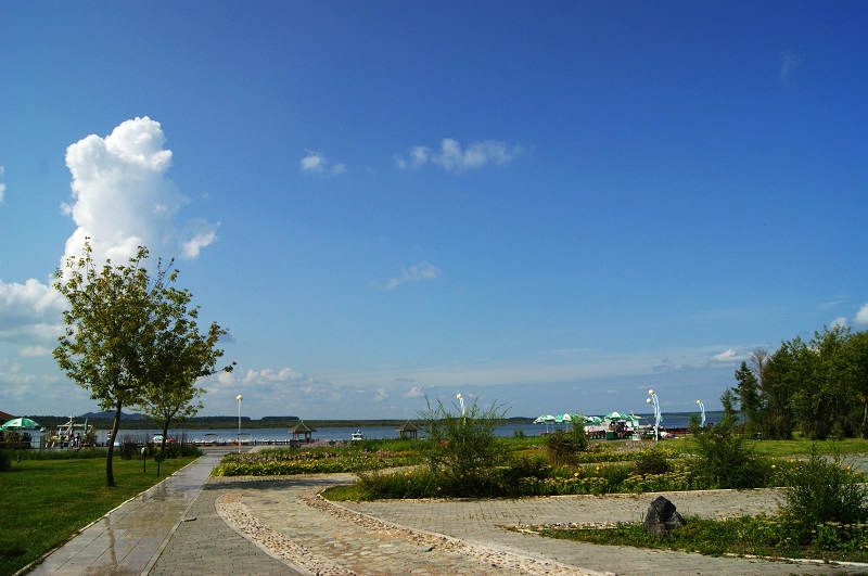 dsc04936.jpg