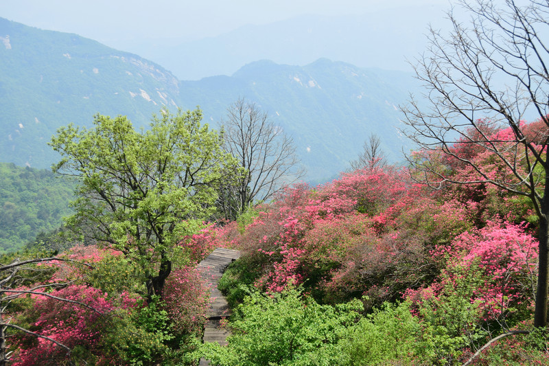 dsc_0426_1.jpg
