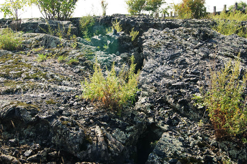 dsc05008.jpg