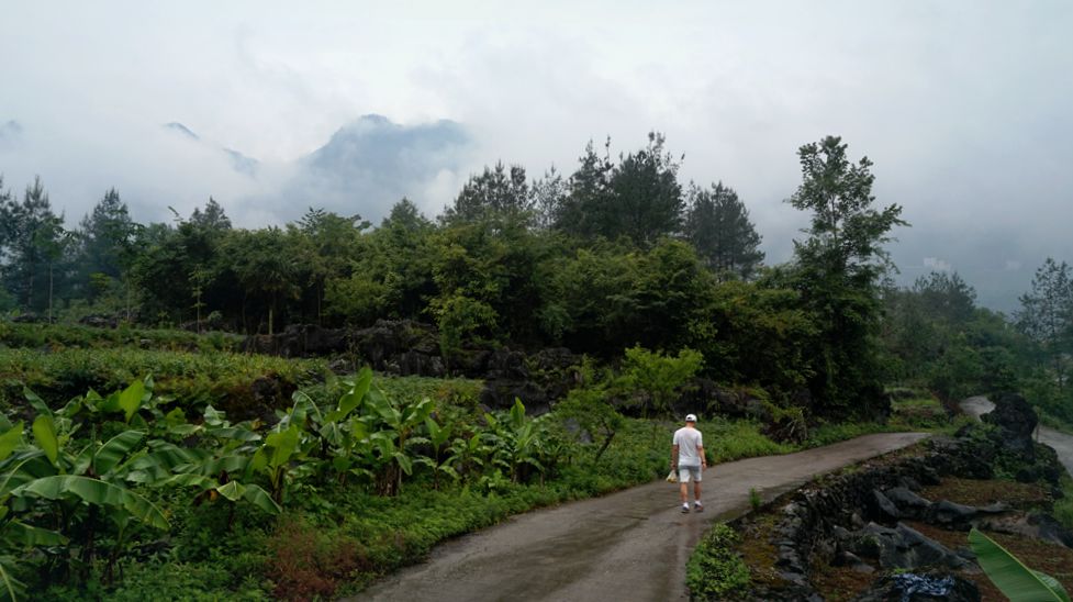 dsc03100_.jpg