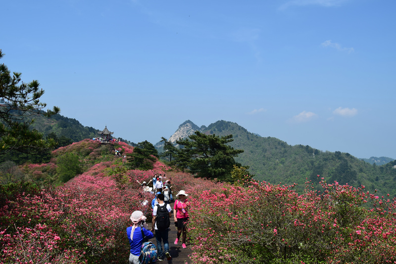 dsc_0443_1.jpg