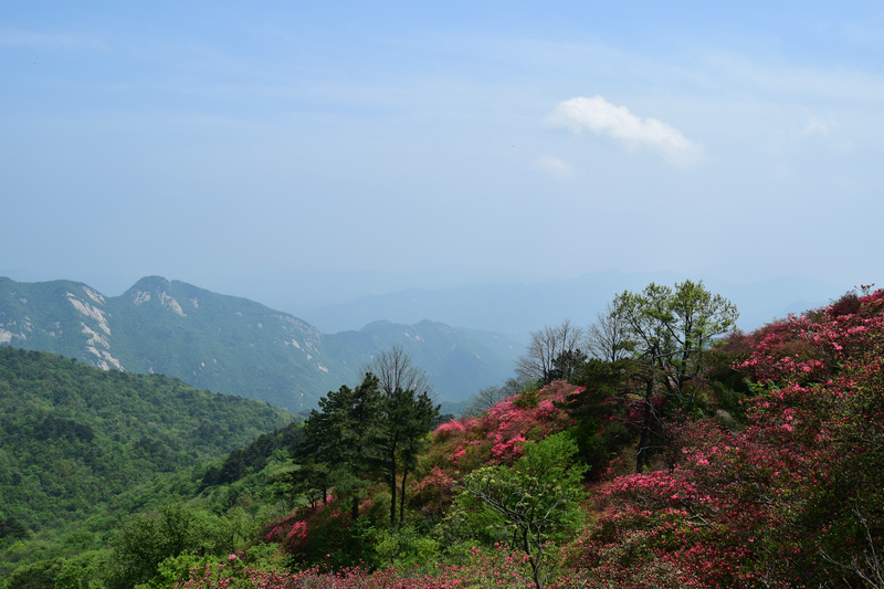 dsc_0421.jpg