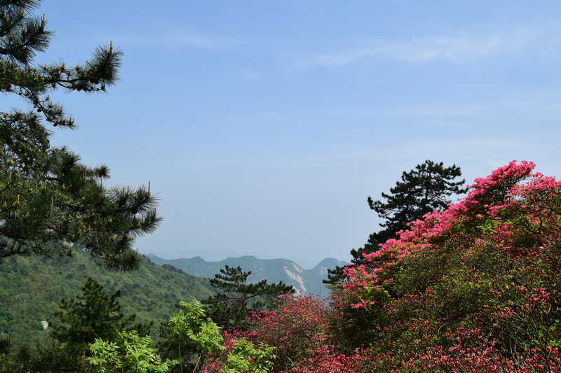dsc_0403.jpg
