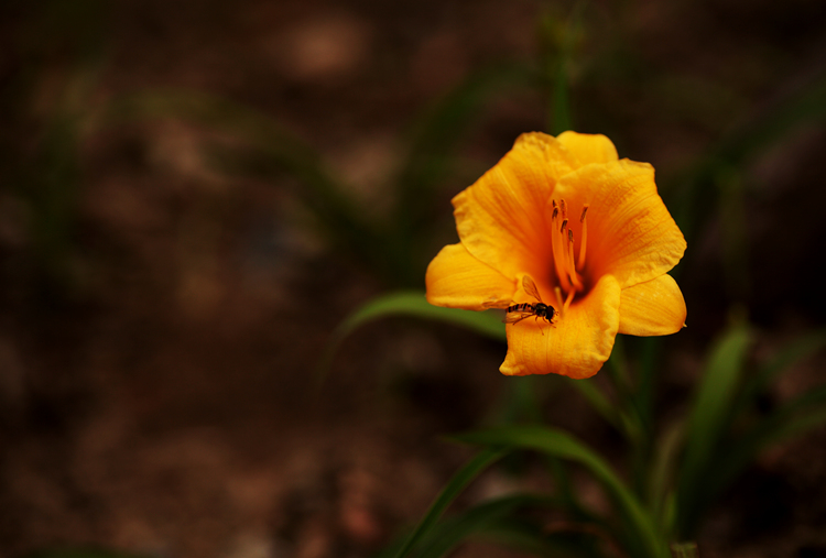 img_9271_.jpg