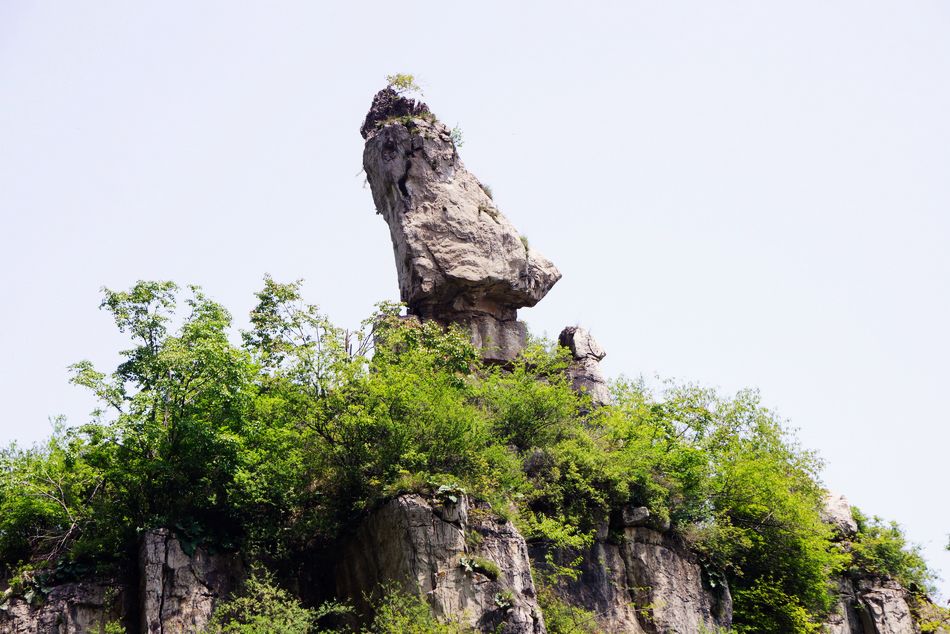 neo_img_dsc06984.jpg