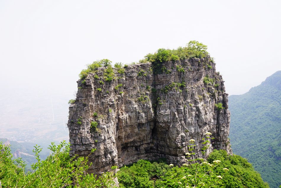 neo_img_dsc06988.jpg