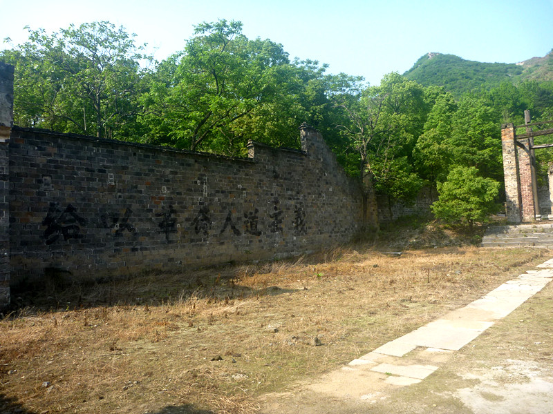 p1240531_.jpg