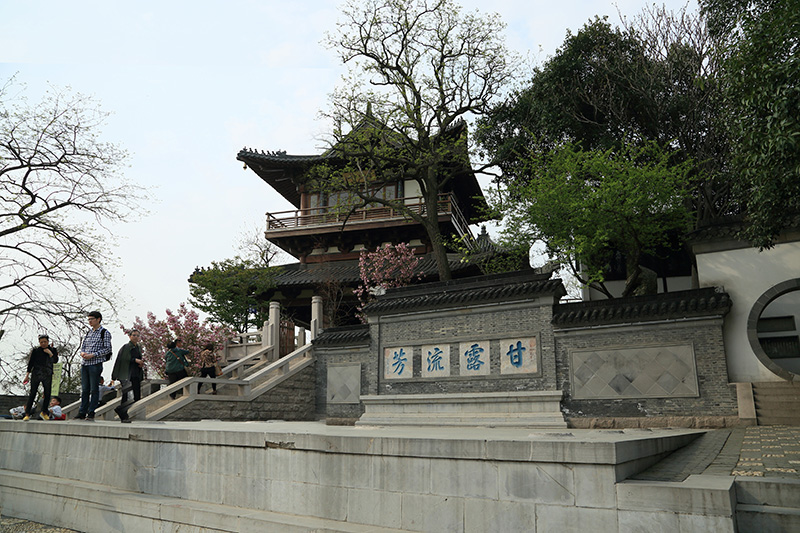 dpp_0003.jpg