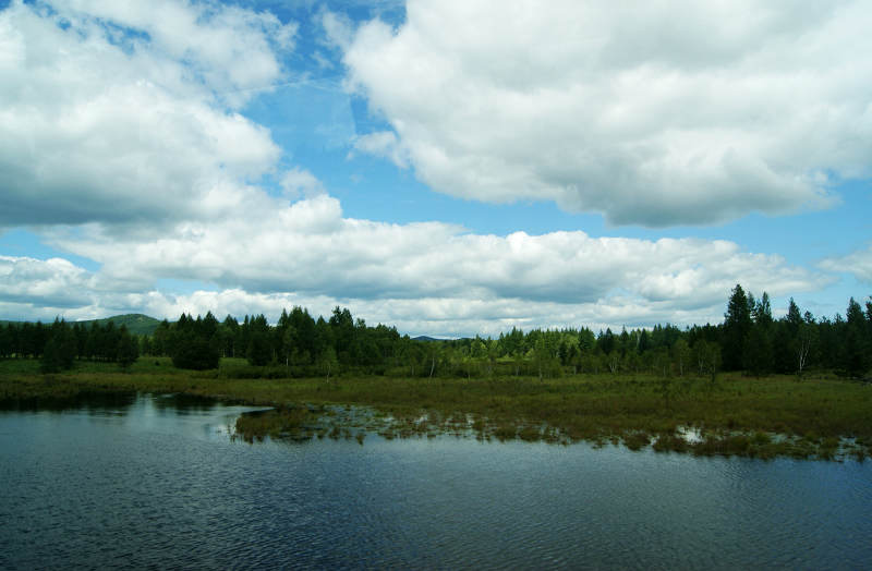 dsc03769.jpg