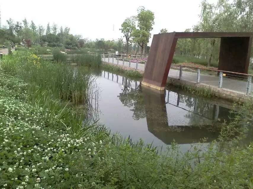 湿地.jpg