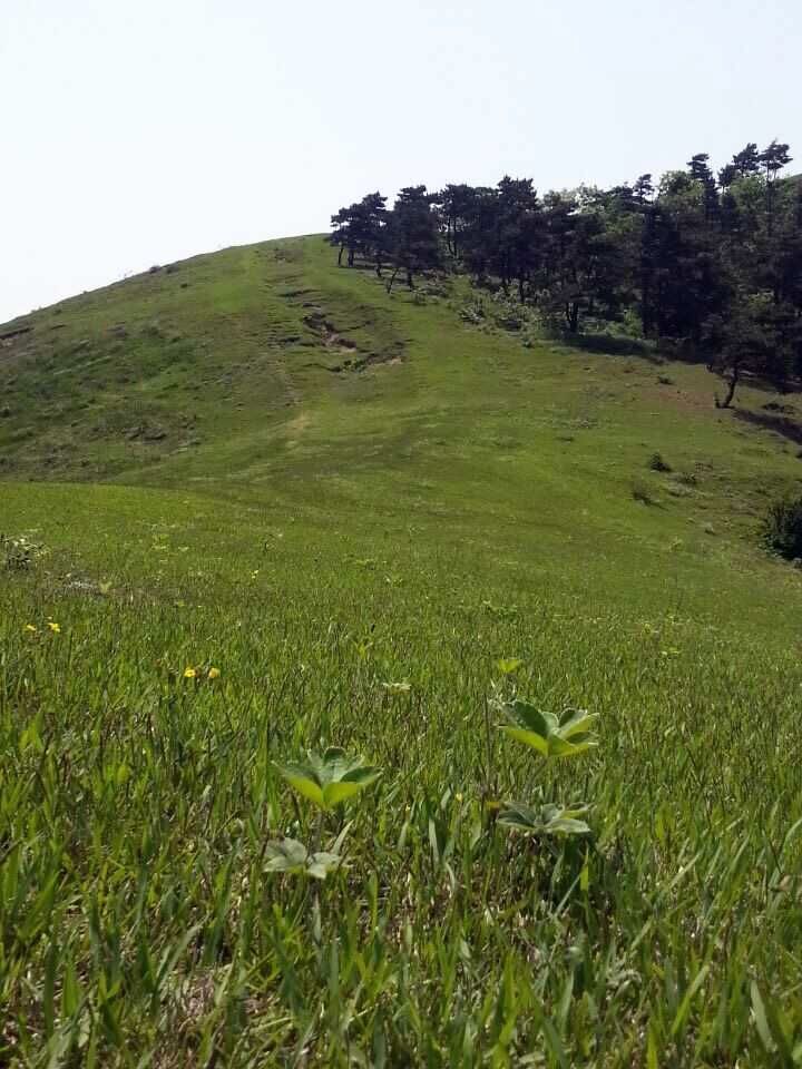 qqͼƬ20150505215501.jpg