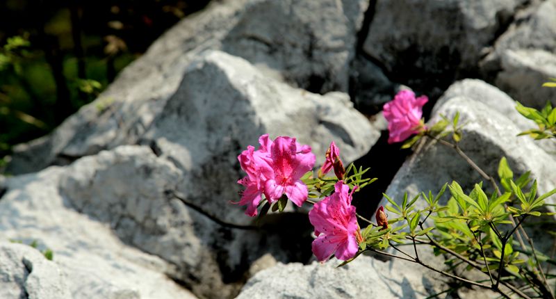 img_0907_.jpg