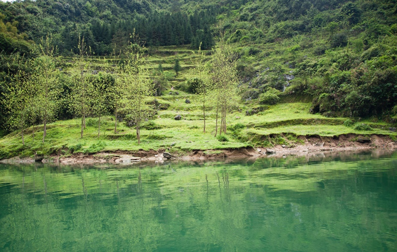 dsc_2181.jpg