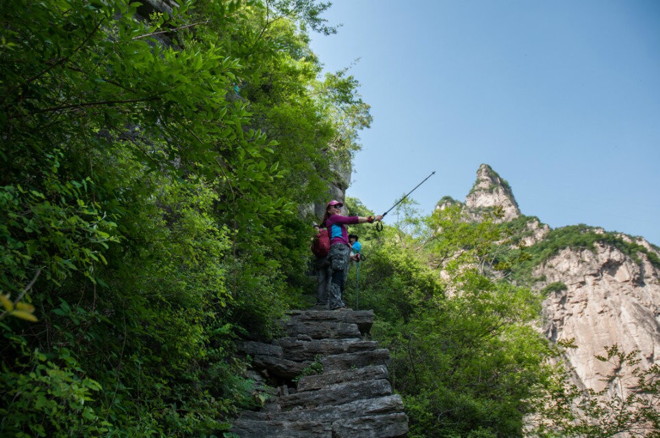 neo_img_dsc00787.jpg