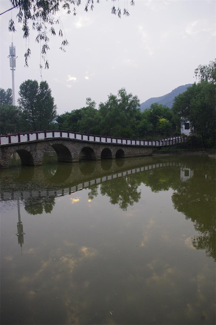 _igp7708.jpg