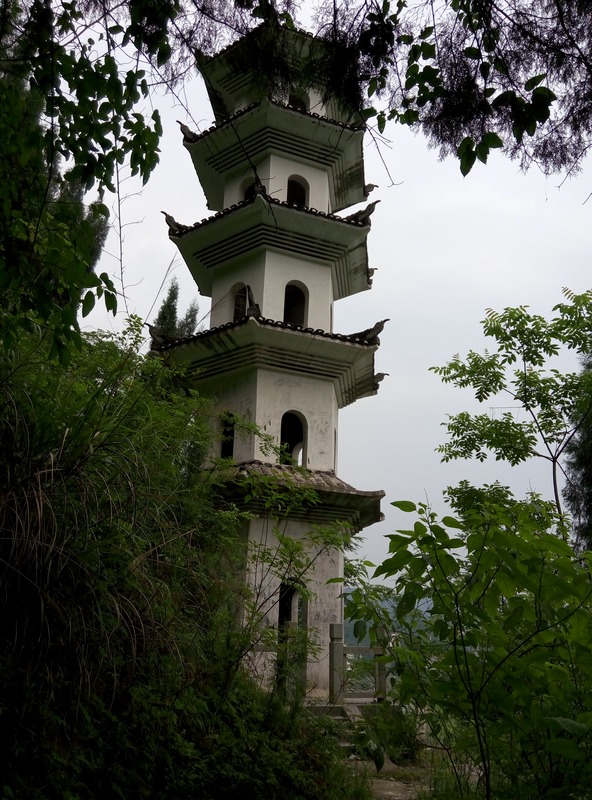 p50610-110117.jpg