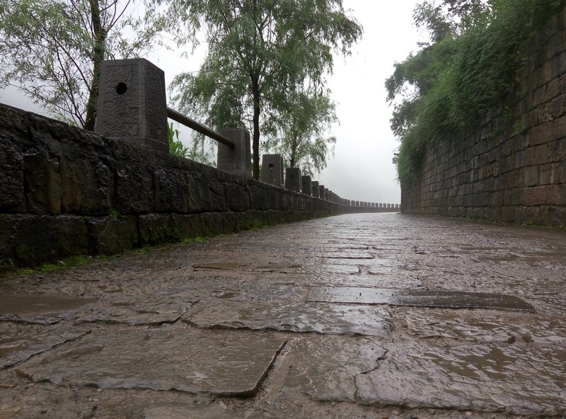 p50611-072633.jpg