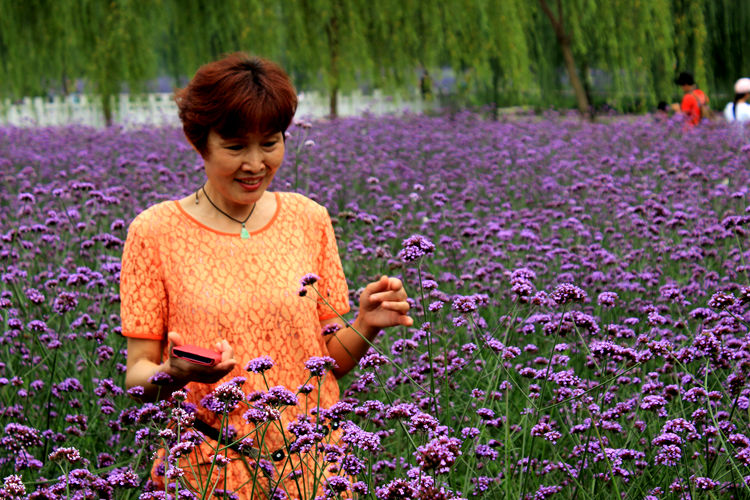 普罗旺斯薰衣草 028_副本.jpg
