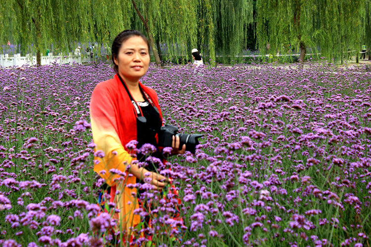 普罗旺斯薰衣草 034_副本.jpg
