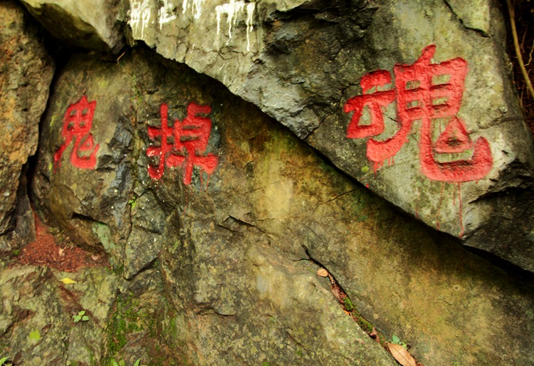 img_9505_副本.jpg