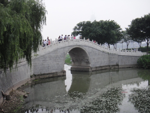 dsc06589.jpg