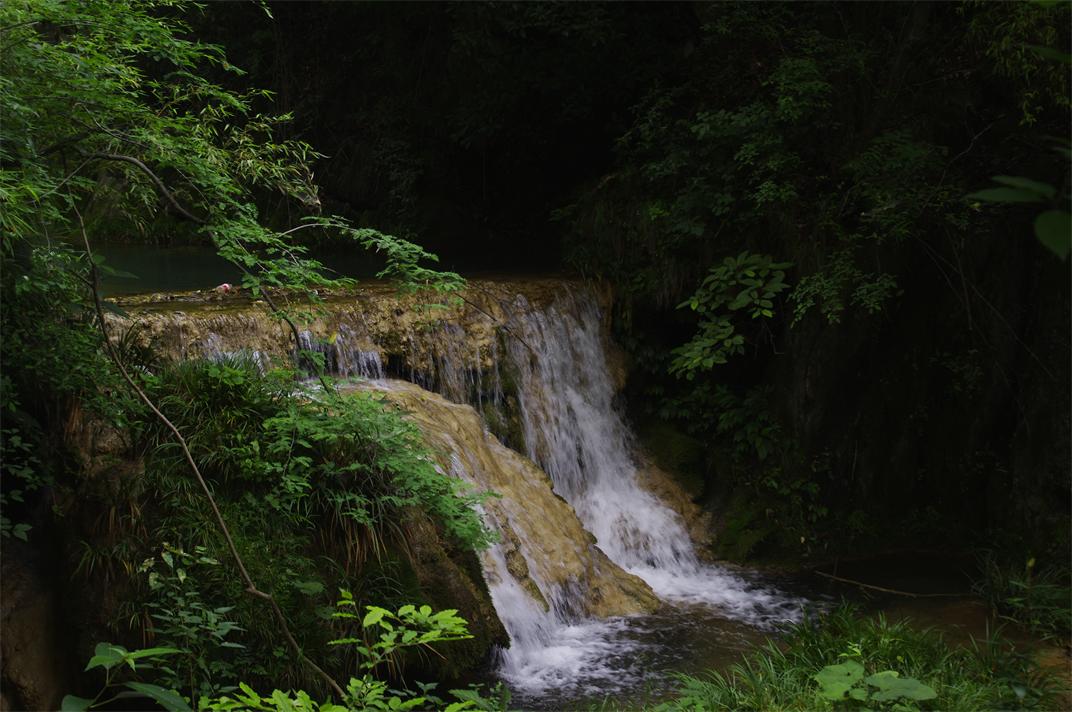_igp7795.jpg