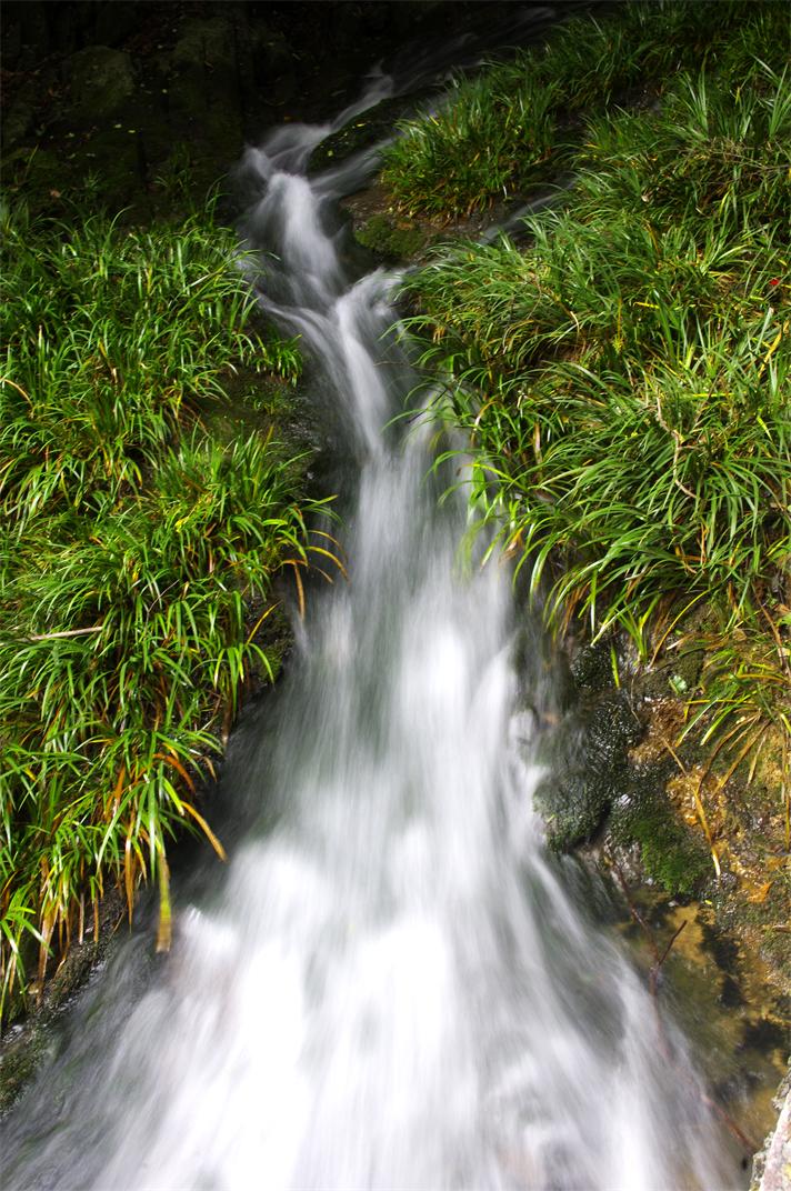 _igp7814.jpg