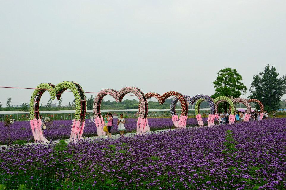 qq图片20150618115835.jpg