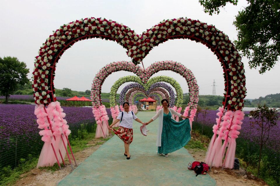 qq图片20150618120024.jpg