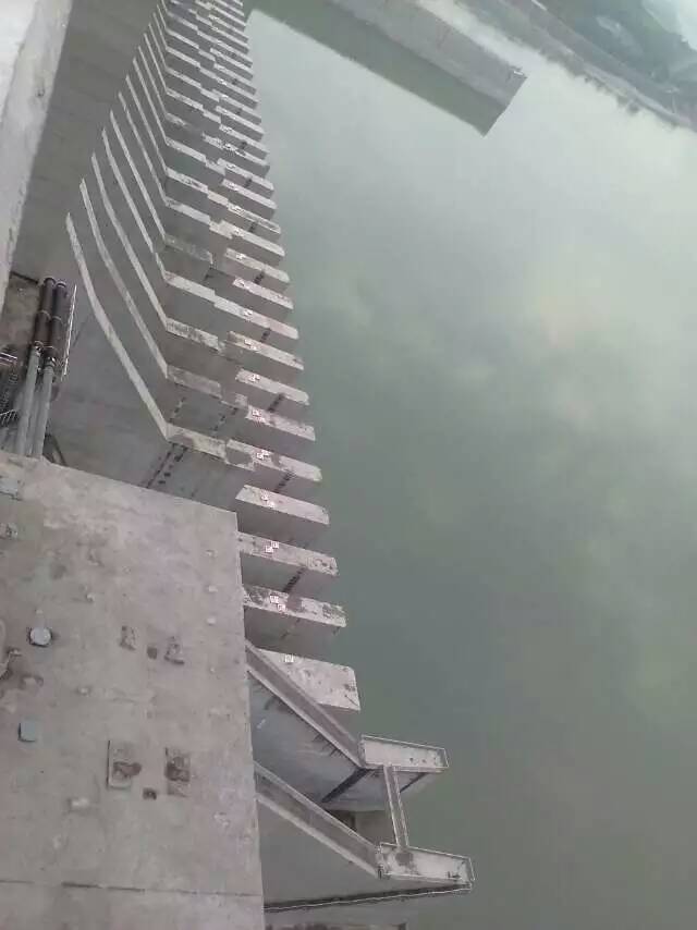 ϿӸ.jpg