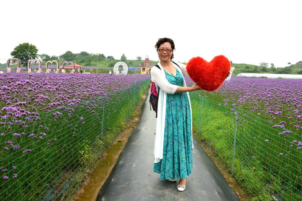 qq图片20150618125107.jpg