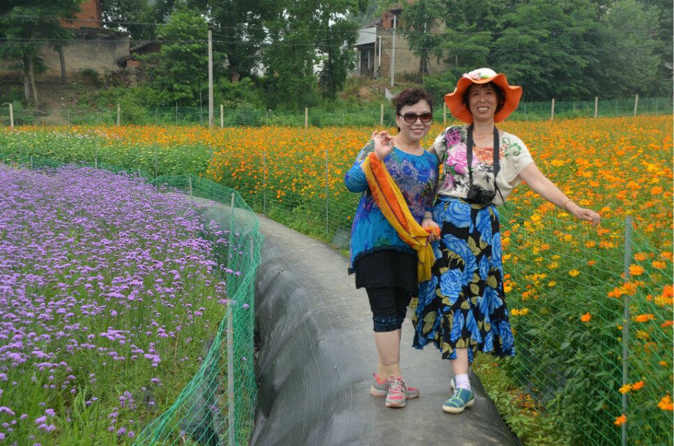 qq图片20150618125650.jpg