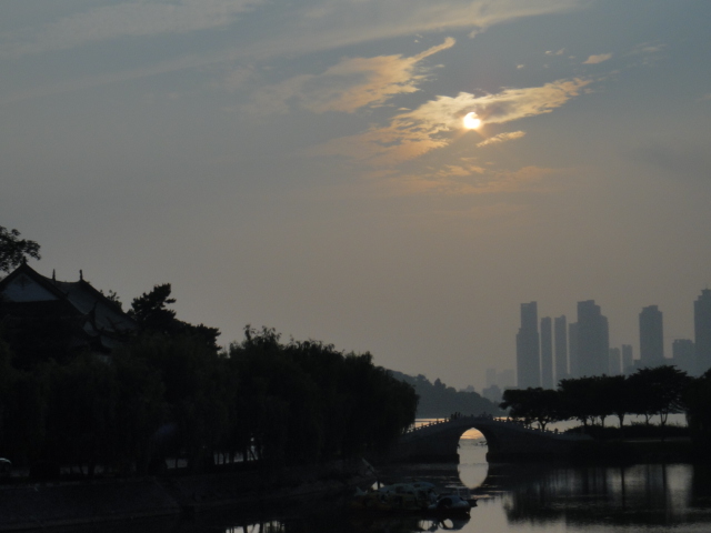 dsc06600.jpg