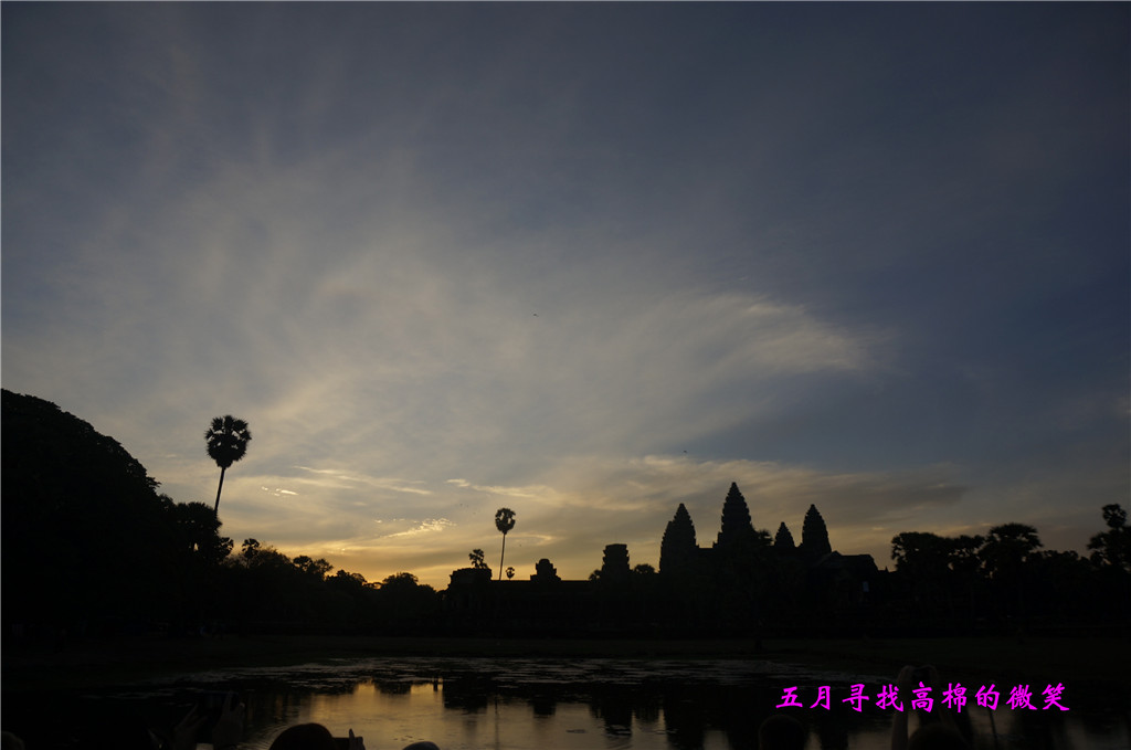 _dsc9339_副本.jpg