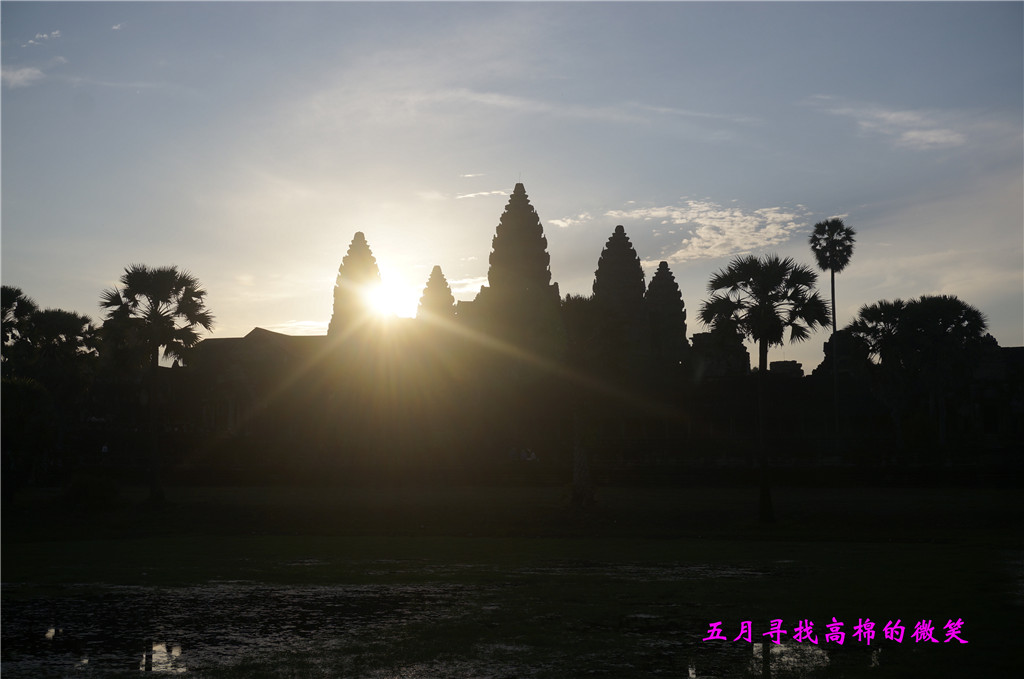 _dsc9363_副本.jpg